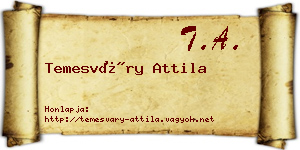 Temesváry Attila névjegykártya