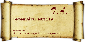 Temesváry Attila névjegykártya