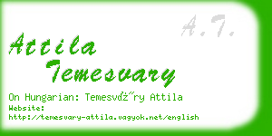 attila temesvary business card